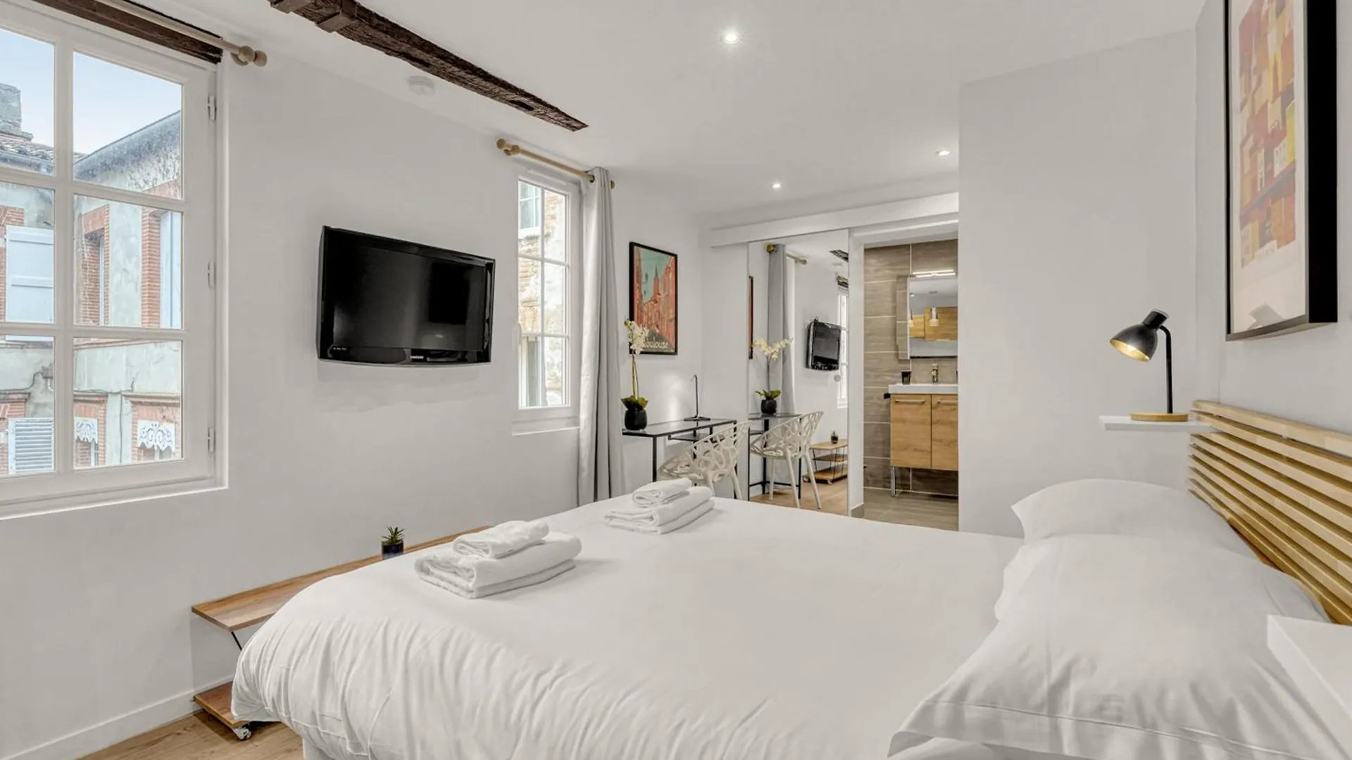 Le Studio Des Antiquaires - Studio Climatise Toulouse