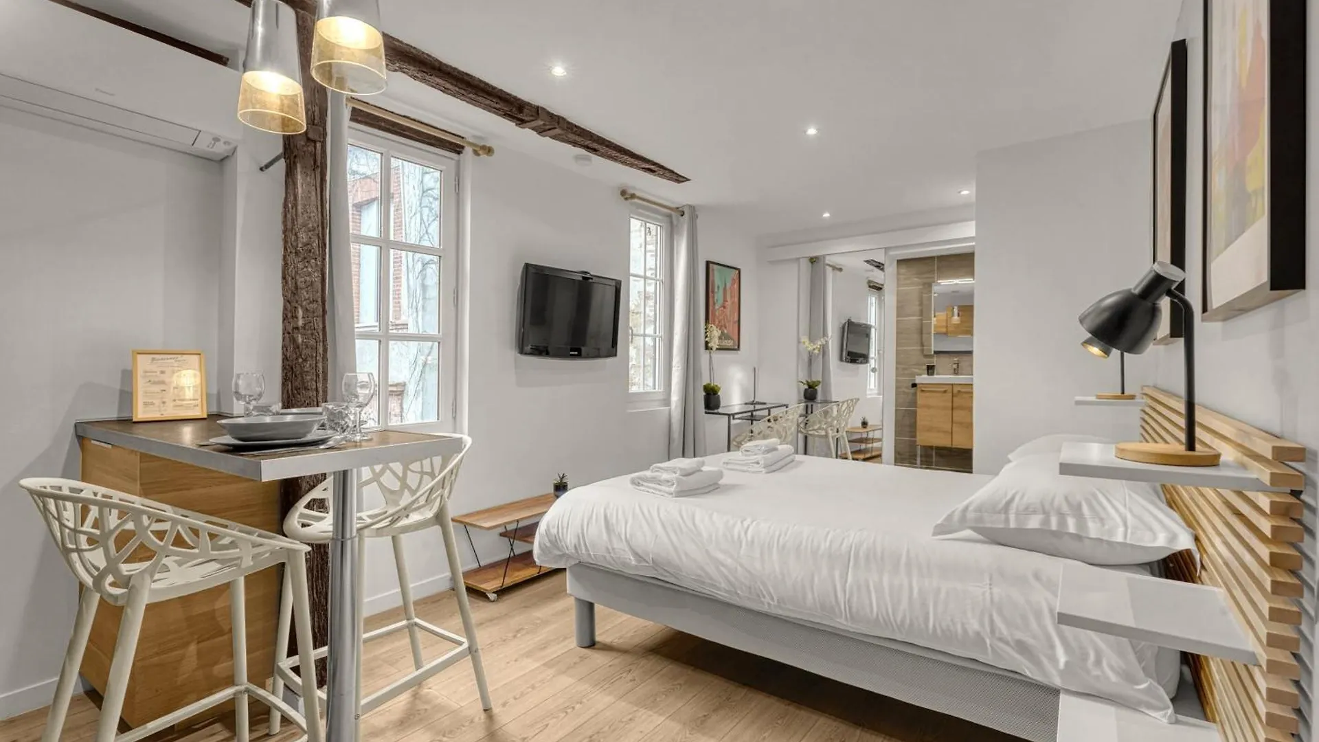 Le Studio Des Antiquaires - Studio Climatise Toulouse Apartment